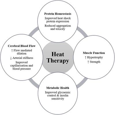 Could Heat Therapy Be an Effective Treatment for Alzheimer’s and Parkinson’s Diseases? A Narrative Review